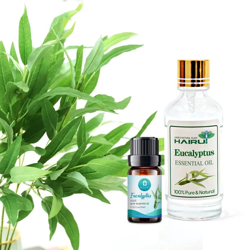 Bulk Supplier Private Label 100% Pure Natural Eucalyptus Essential Oil