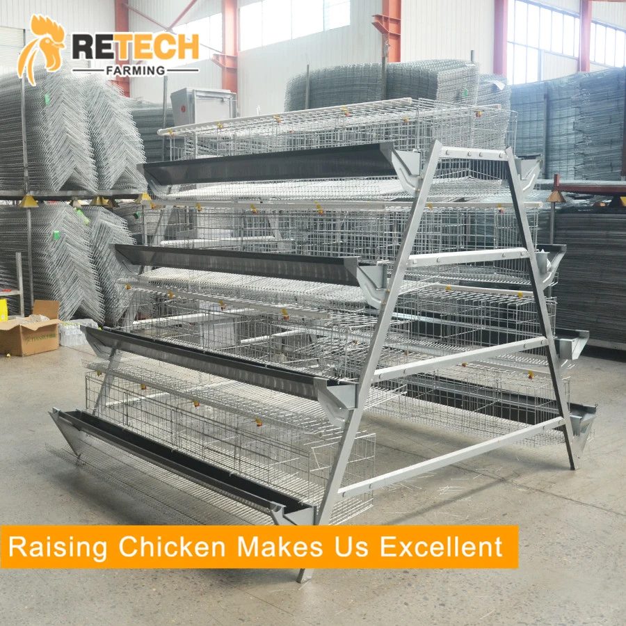 Durable hot-dip galvanized 3 tiers egg layer chicken cages