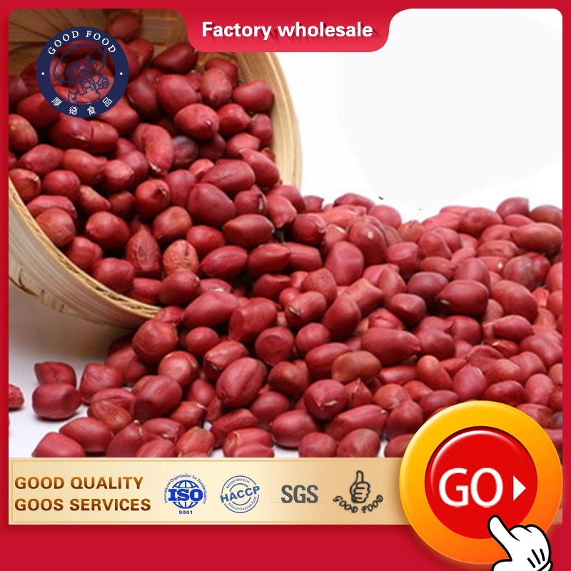 Ex-Factory Price Bulk Raw Organic Factory Price Red Skin Kernels Peanut