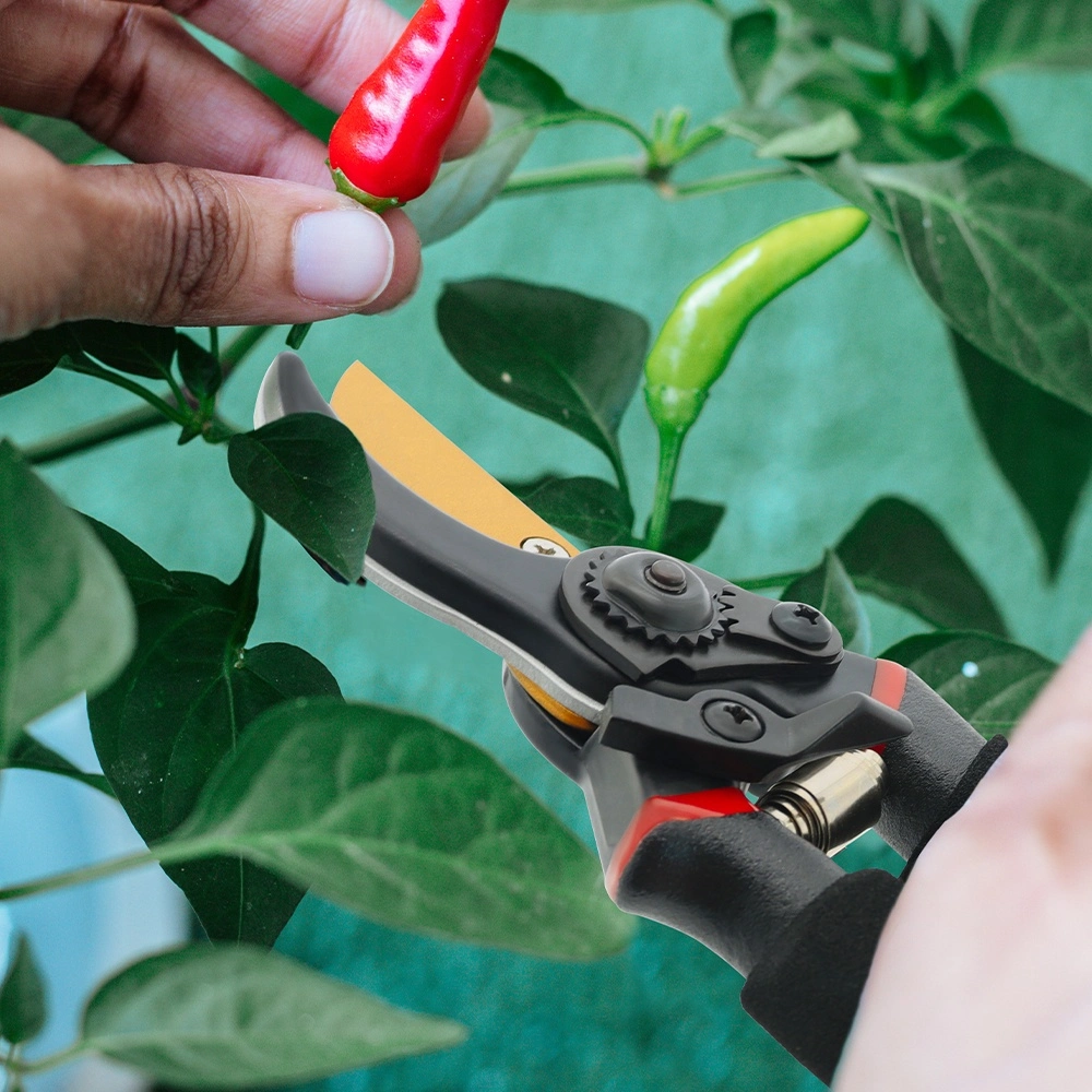 Professional Premium Titanium Bypass Pruning Shears Garden Tool