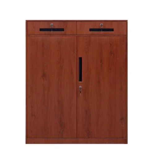 File Metal Cabinet Office Two Door Transfer Printing File Cabinet with 2 Drawers in The Middle of The Metal Cabinet