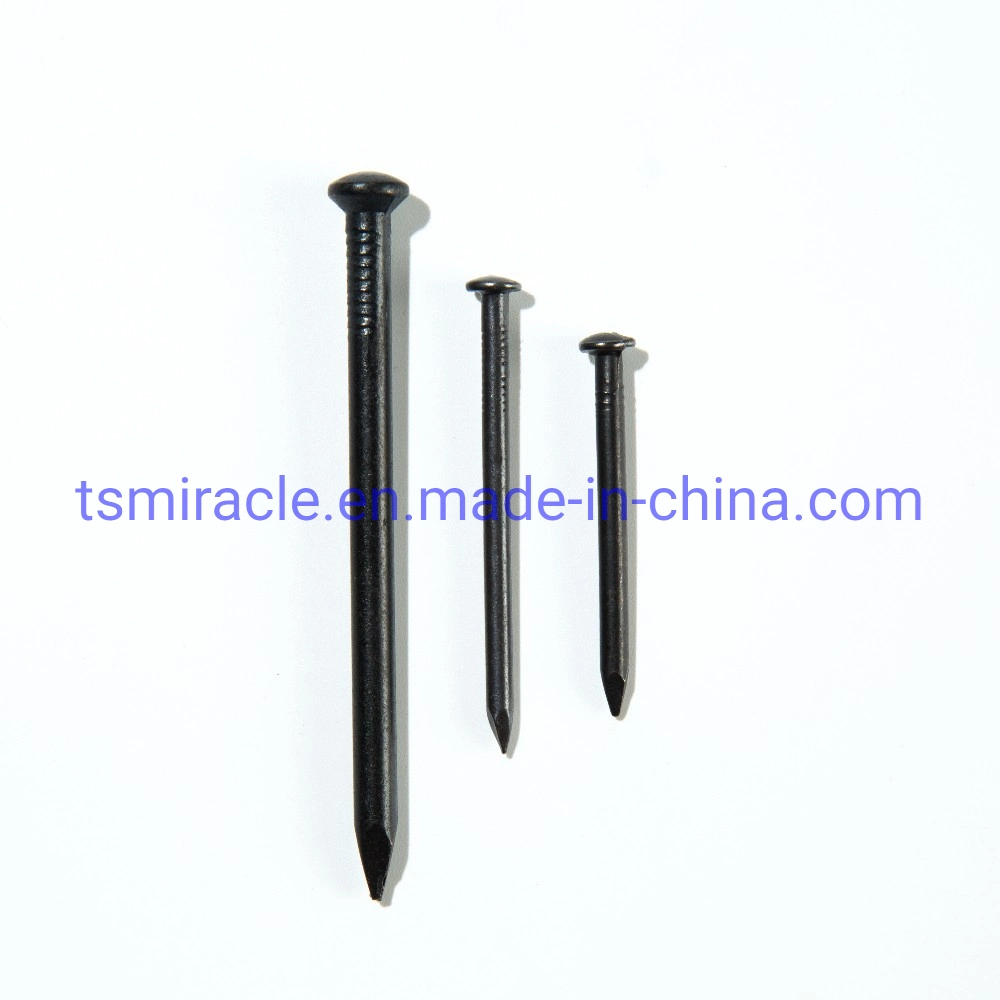 High quality/High cost performance  Black Steel Concrete Nail Factory Price Cement Nail