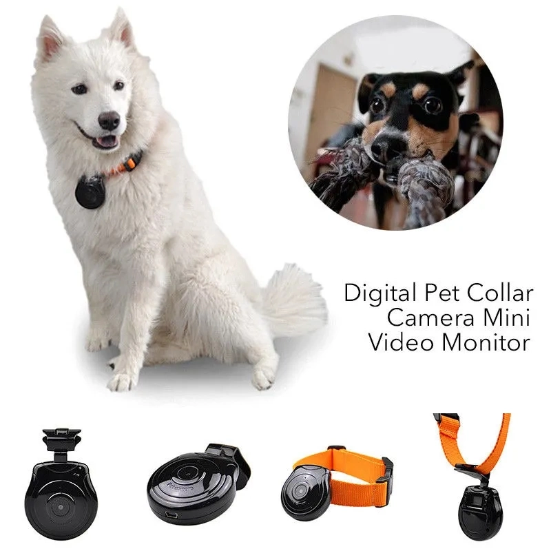 Digital Pet Eye View Cam طوق كاميرا مراقبة مسجل الفيديو لدوغ Cat (avp004D)