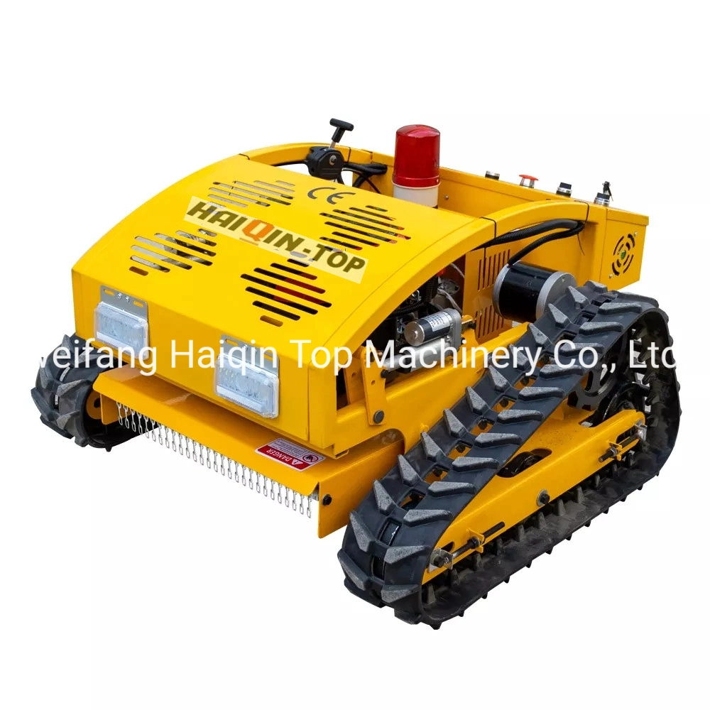 China Haiqintop Mini Control remoto RC Electrónica Transportador de césped con CE