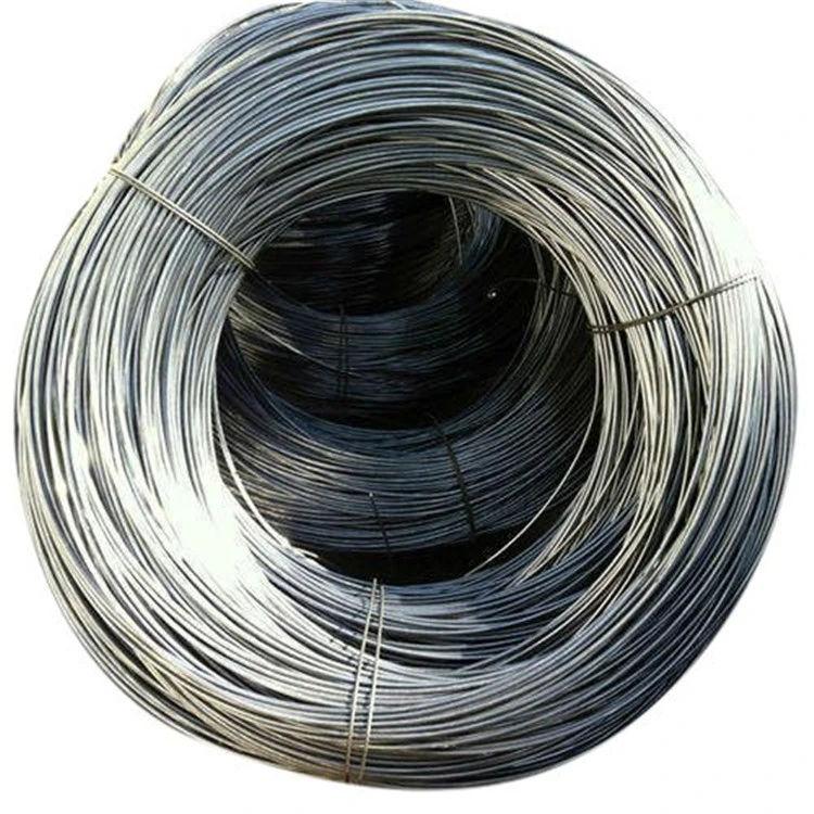 Flat Wire Low-Cost Shaped Wire Steel Stainless Steel Wire