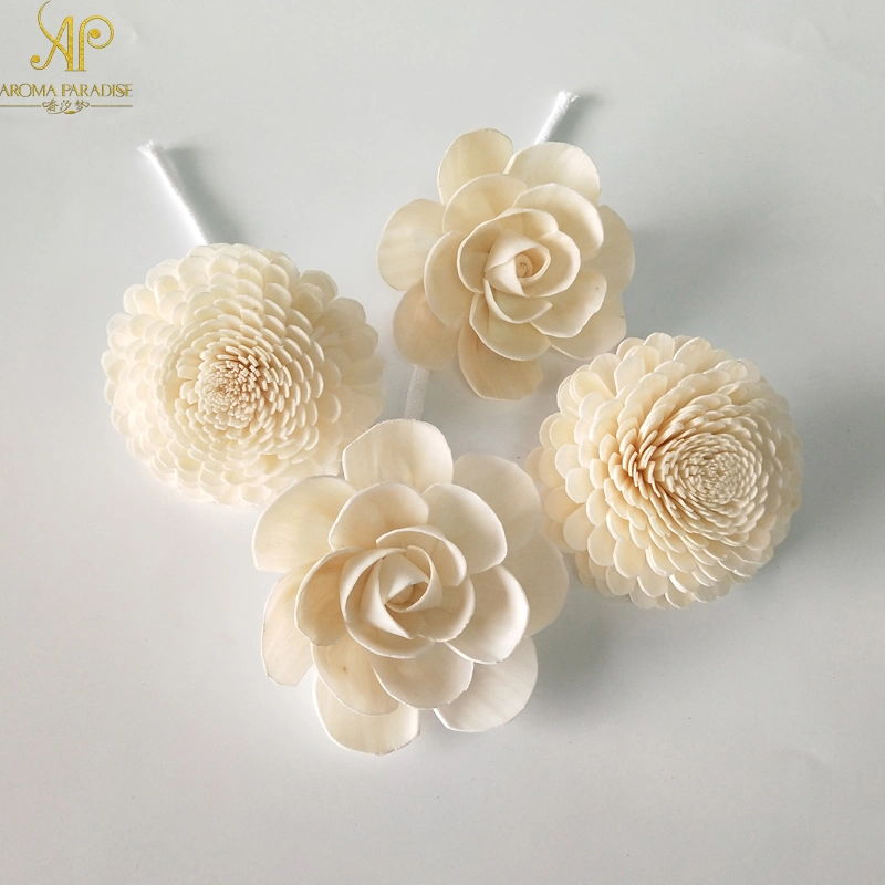 Hot Selling of New Items Sola Dried Wood Flowers Wholesale/Supplier for Reed Diffuser Air Fresher