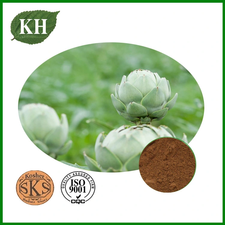 Artichoke Extract, Cynarin 2.5%-10% UV, Chlorogenic Acid 5% HPLC