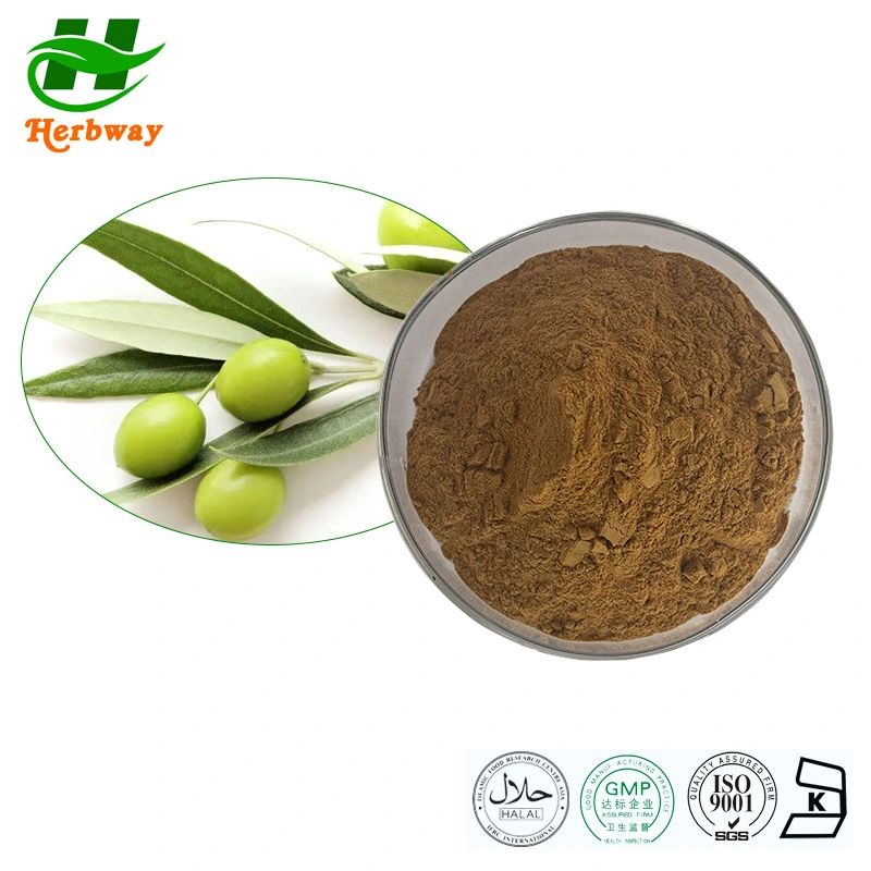 Herbway China Supplier High quality/High cost performance  Competitive Pirce 20% Hydroxytyrosol Olea Europea L Olive Leaf Extract Natural Supplements