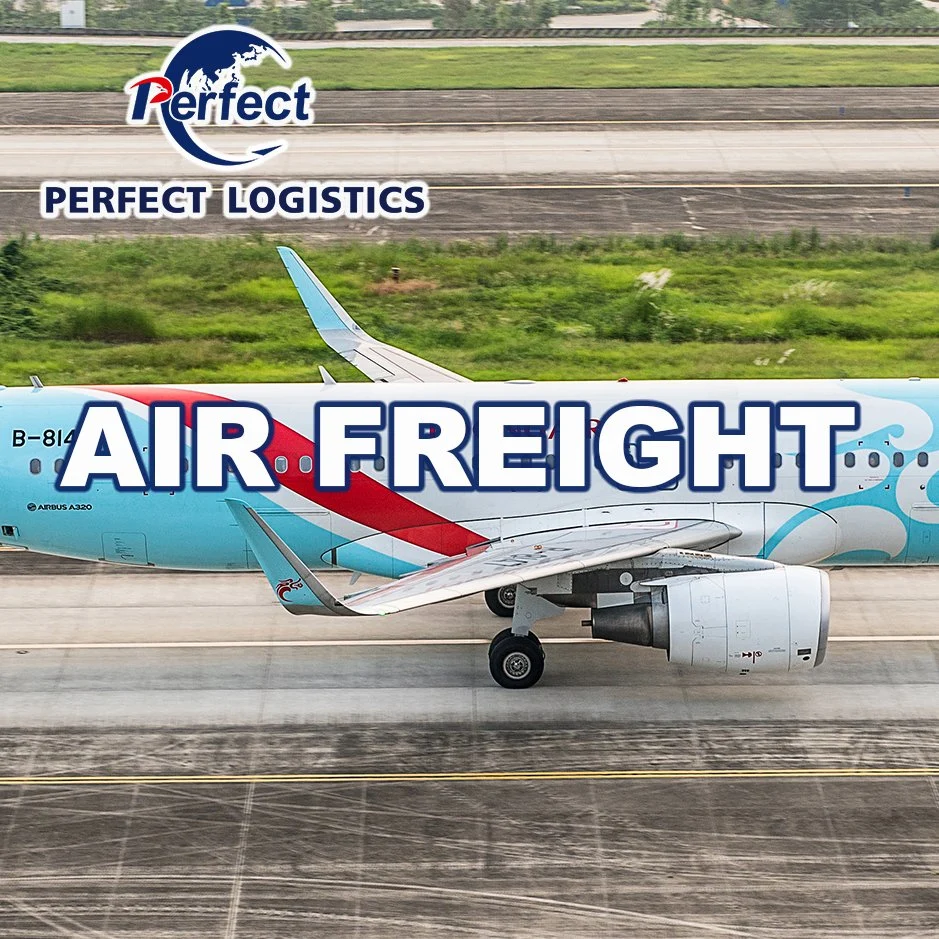 Alibaba/1688 Express Air/Sea/Railway/Truck Cargo/Freight/Shipping Container LCL Forwarder/Agent From China to Europe, Rome, Italy Amazon/Fba DDP/DDU Logistics