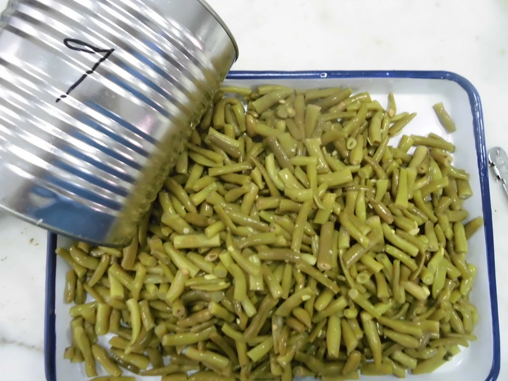 Canned Food Canned Green Bean with Best Price OEM