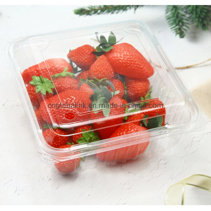 1000g Plastic Vacuum Formed Fruit Packaging