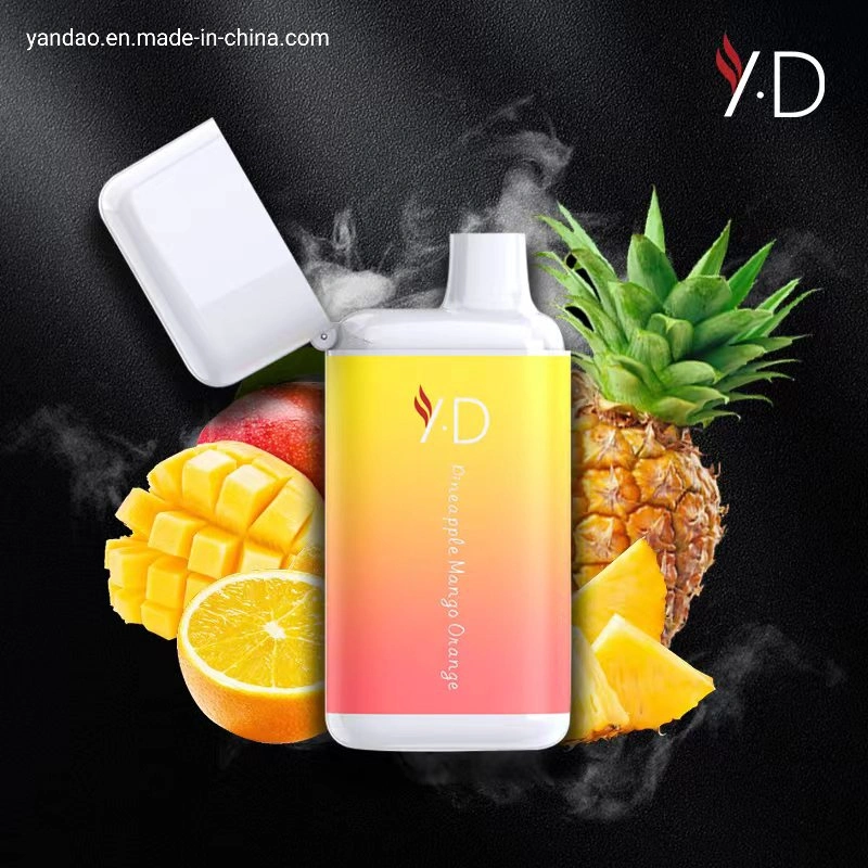 Mayorista/Proveedor de cigarrillos electrónicos OEM/ODM de la bobina de malla 5000bocanadas 10ml 650mAh Vape desechables Pen