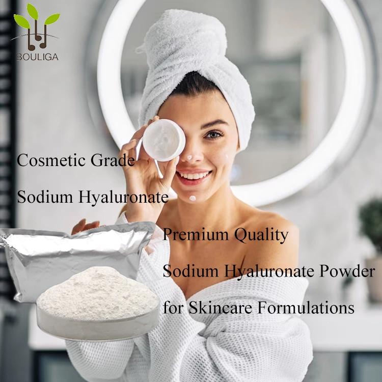 High-Quality Sodium Hyaluronate Powder for Effective Beauty Product Manufacturing