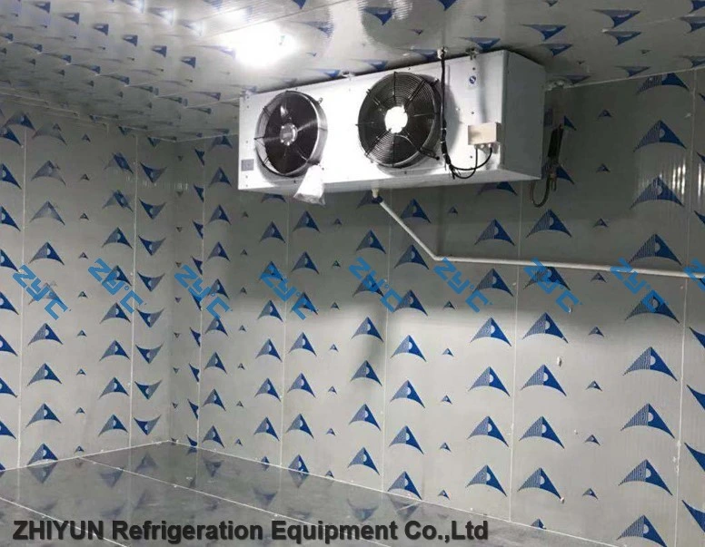 Mejor almacén de hielo Solar Cold Room Solar Power Cold Storage Espacio para carne de pescado