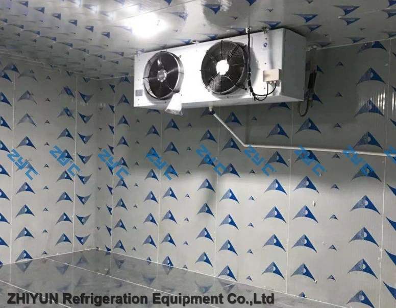 Best Ice Store Solar Cold Room Solar Power Cold Storage Room for Fish Meat