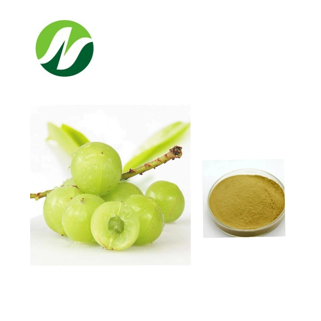 High Quality Best Selling 10%~50% Polyphenols, Tannic Acid Emblica Officinalis Extract