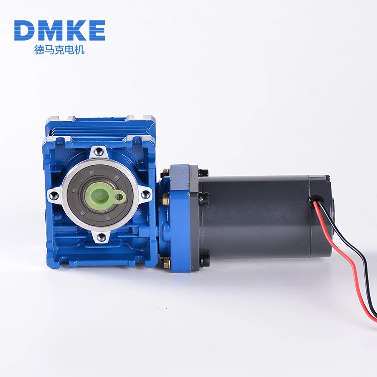 12 24 V Brush Electric Worm Motor Manufacturer Totally Enclosed 30W 40W Permanent Magnet Brush DC Worm Gear Reducer Motor