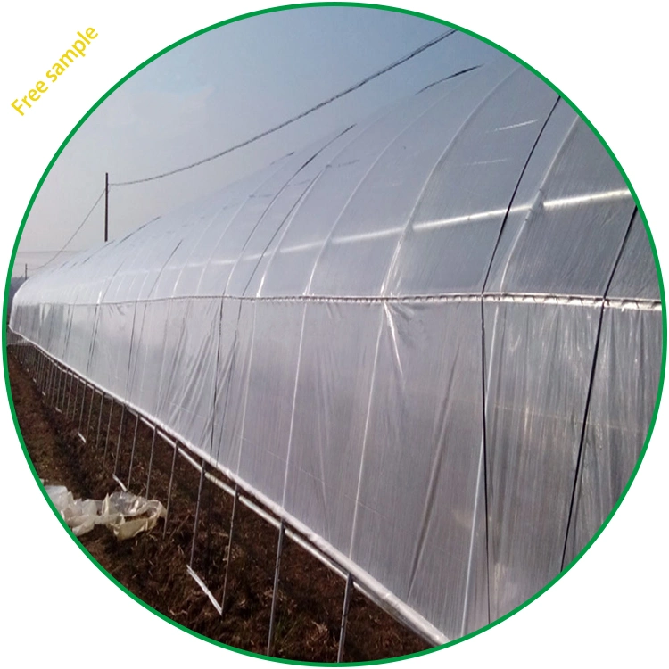 Factory Wholesale/Supplier UV Resistance Greenhouse Plastic Film Manufacturer Supply Low Price for Agriculture