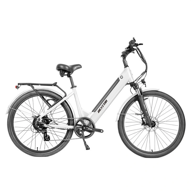 2023 Vélo électrique Bicystar le plus puissant 1500W Vélo électrique de ville à batterie lithium pas cher E-Bike