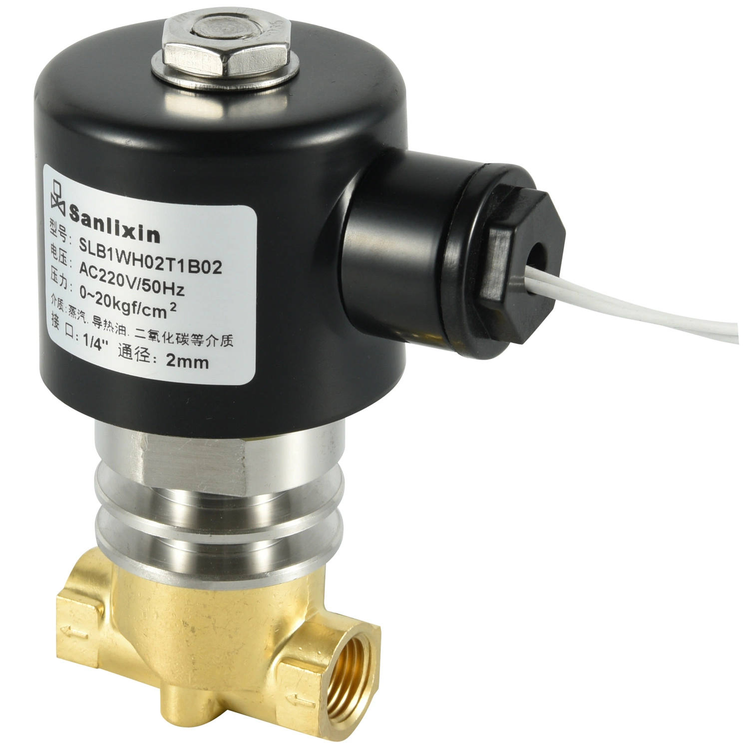 Steam Solenoid Valve - 2/2-Way Pilot Perated High (Low) Temperature (SLB)