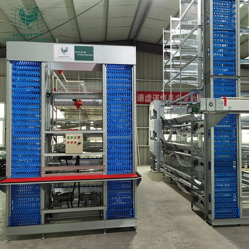 Equipo automático de la granja de pollos de aves de corral de gallinas ponedoras de huevos de jaulas en batería