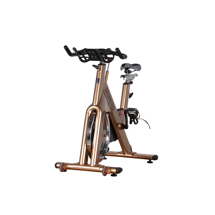 Leekon Custom Indoor Slimming Spin Bike Weight Loss Gym Fitness Commercial Workout Equipment