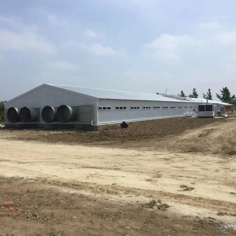 China Low Cost Steel Frame Chicken Layer Duck Breeding Farming House