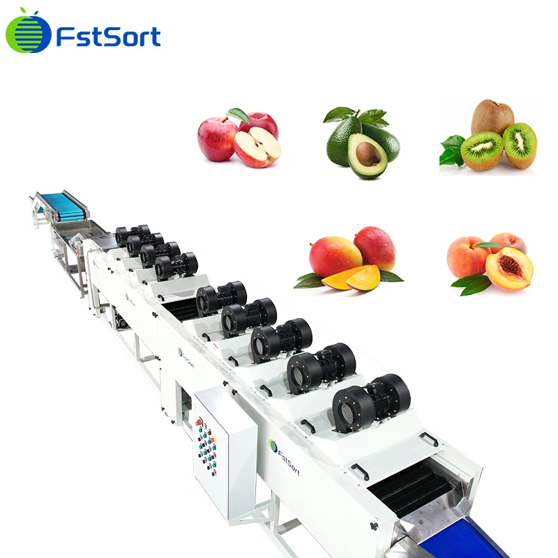 آلات حز الفاكهة آلة معالجة الفاكهة شركات مصد الوزن الإلكتروني آلة