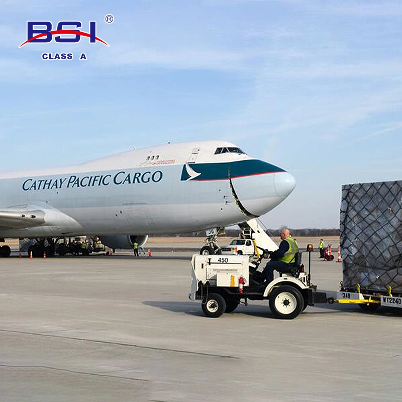 Fba Sensitive Goods Express Forwarder From China to USA UK France Germany Italy Canada