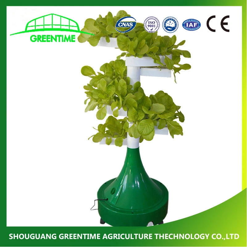 2021 Indoor Irrigation and Nft Hydroponics Growing Equipment DIY Easy to Install From China Supplier