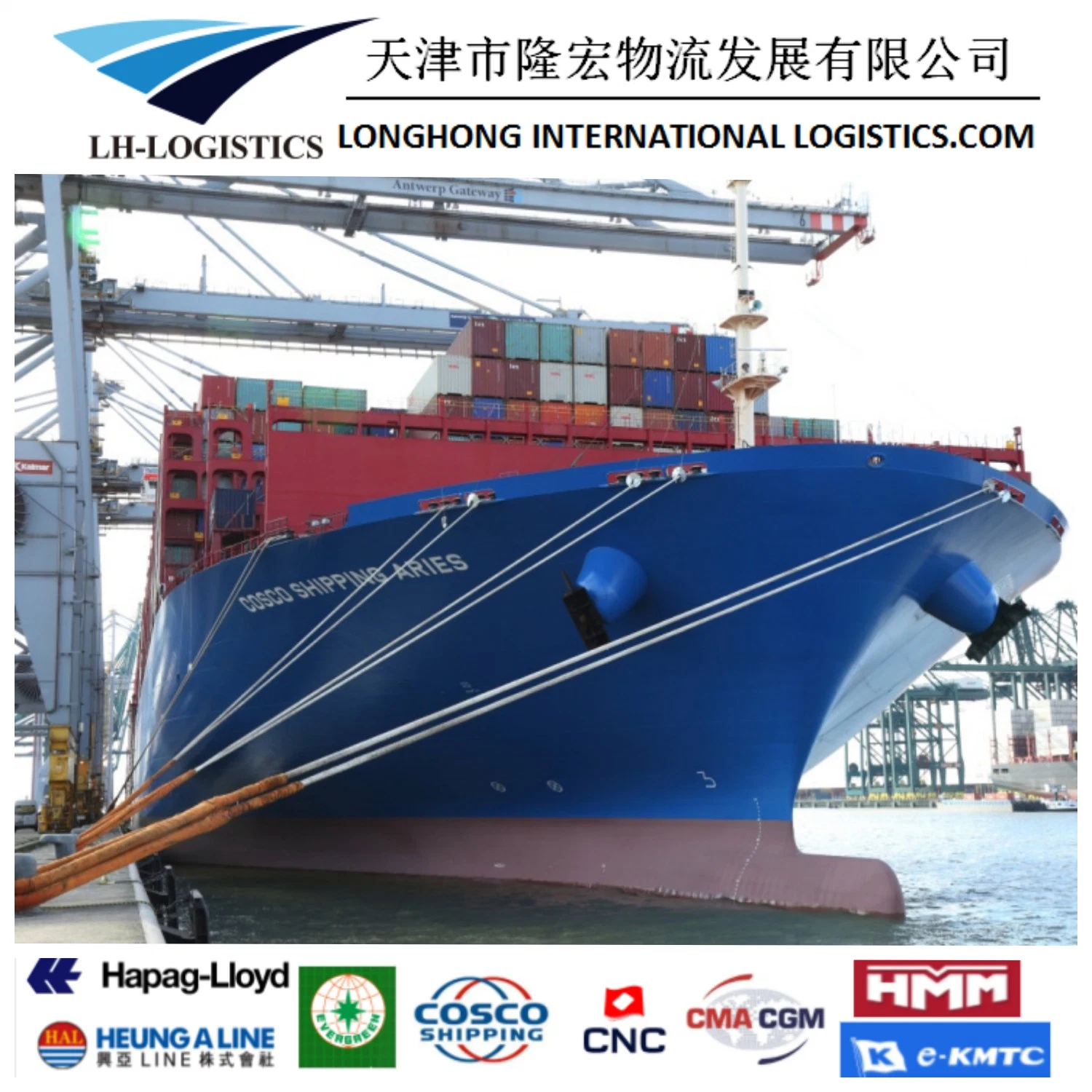 Shipping Service Forwarder Shipping to Europe Sea Freight Logistics Freight Forwarder 1688