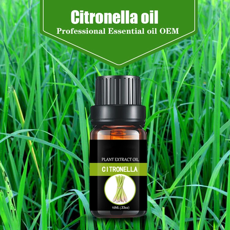 Esencial Citronella Oil para jabones, velas, Mosquito, Aceite de masaje