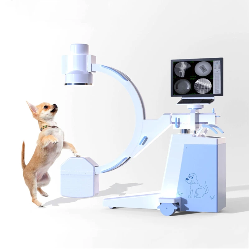 Больница Медицинского документа Vet C-Arm цифровой ветеринарных рентгеновского оборудования для хирургических