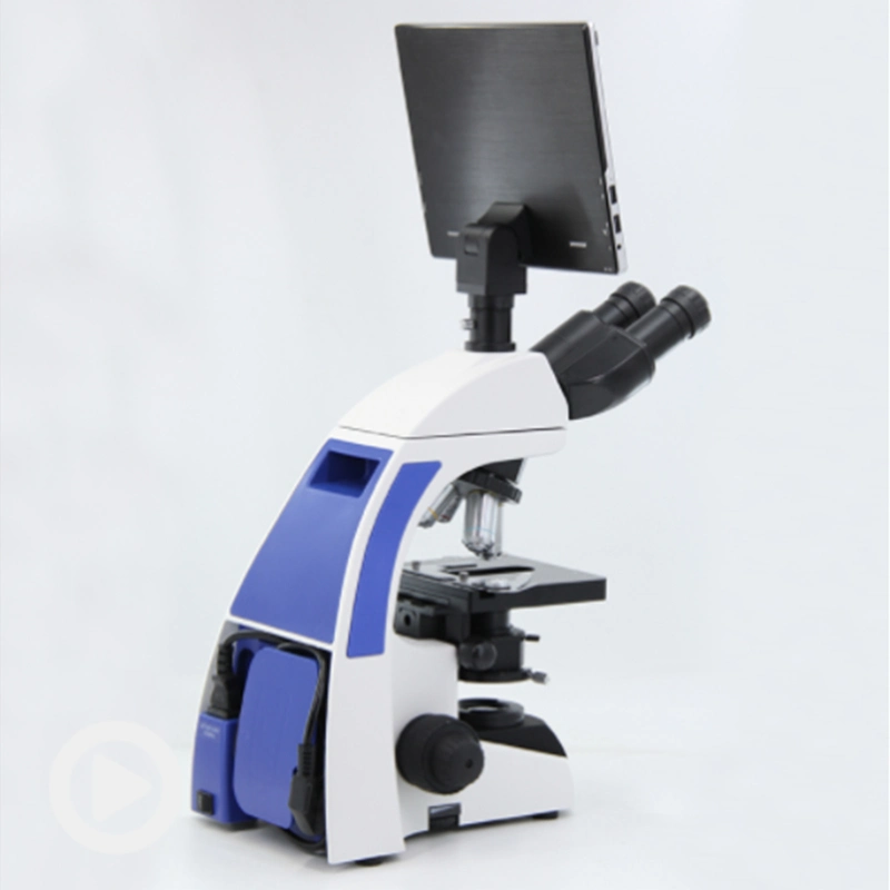 A33.1502 Professional Video LCD Digital Display Lab Microscope