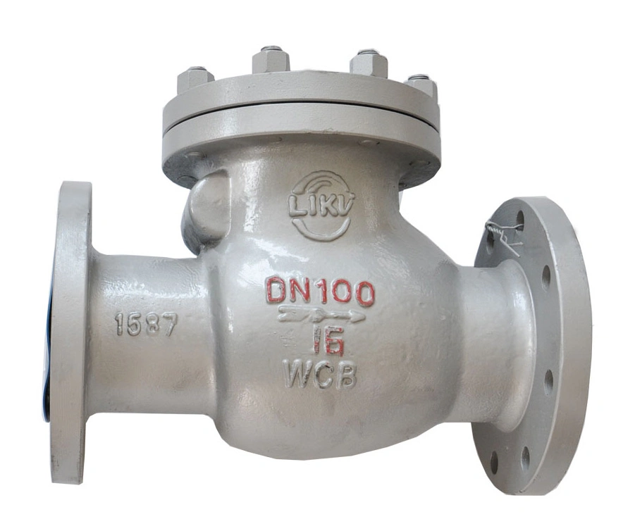 ANSI B16.10 Ductile Iron Cast Iron Swing Check Valve for Sea Water