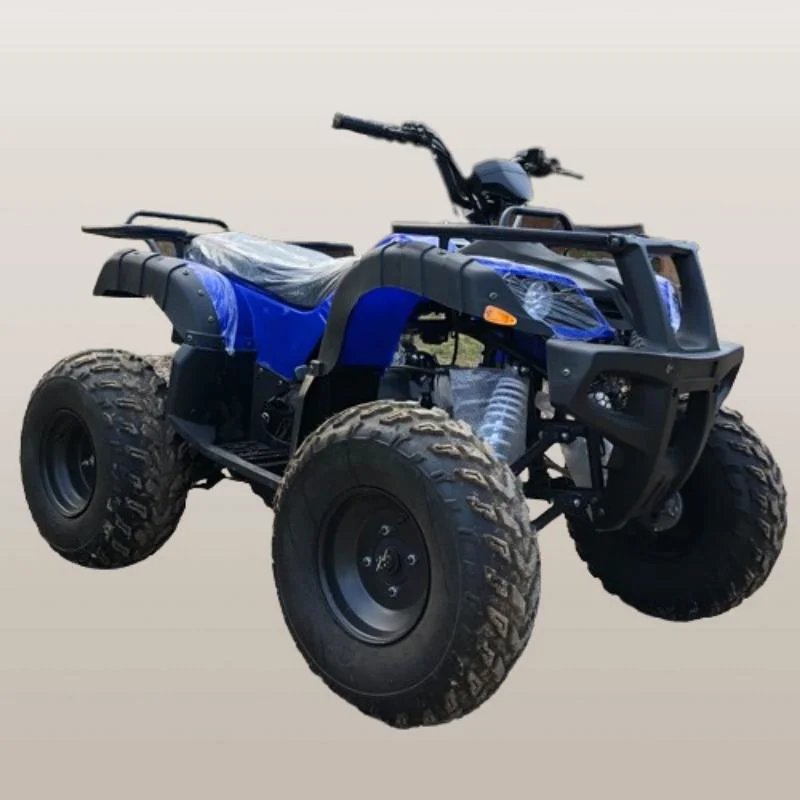 Высокое качество 200cc CE 10дюйма Racing с электроприводом для взрослых 4 Колеса Quad Bike