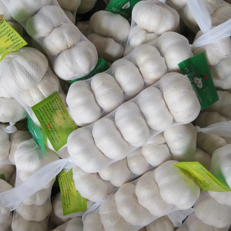 Certified Garlic Fresh New Crop Supplied by Garlic Exporters China for Europe Garlic Market