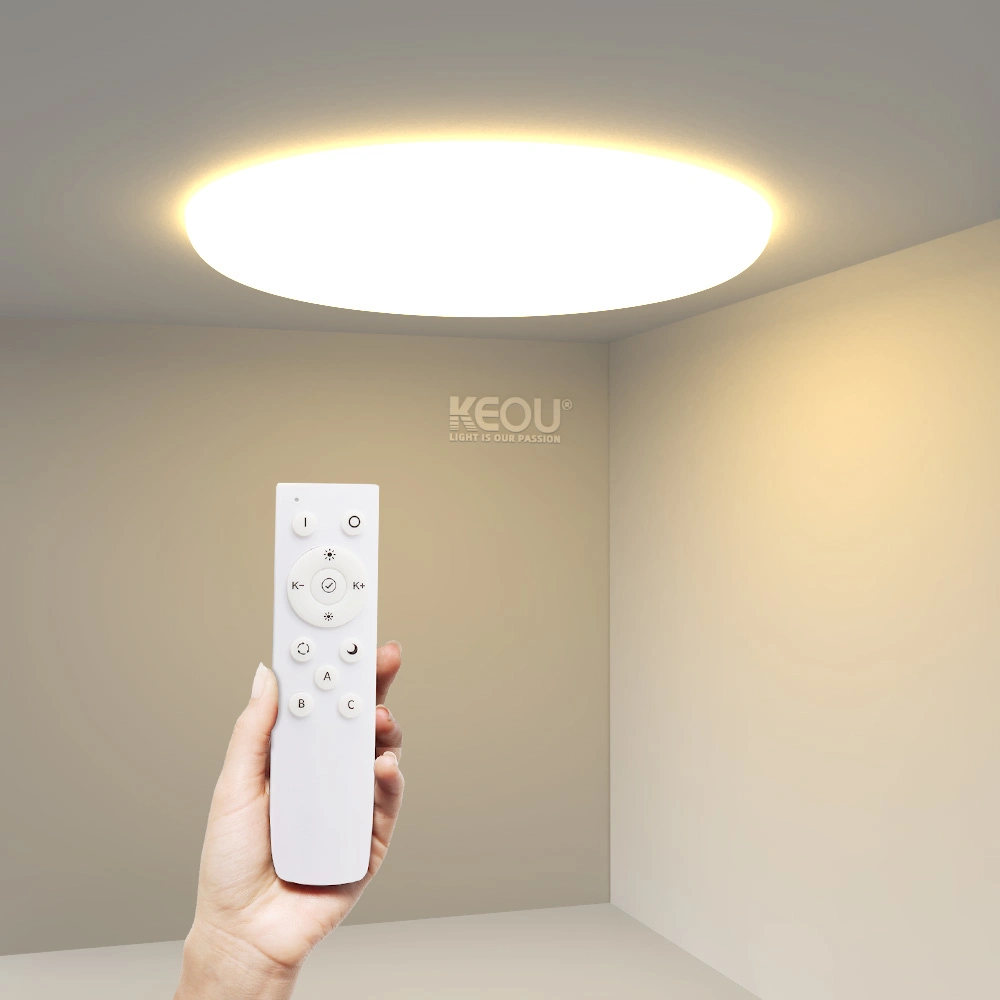 Dimmable RoHS Down Light 2.4G 18W LED Downlights with Remote Control