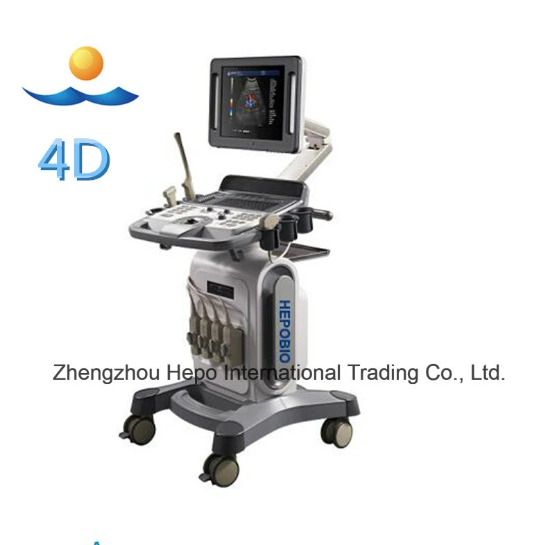 Medical Diagnosis Equipment Digital 4D Ultrasound System