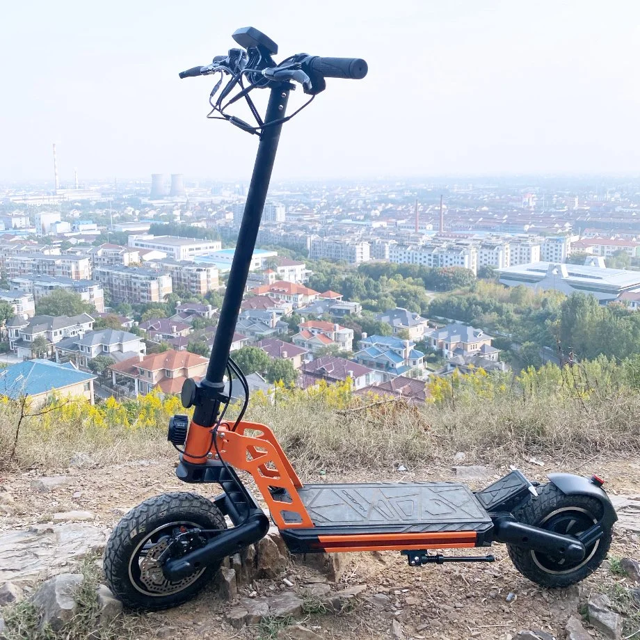 Most modische 1000W Best Adult Two Wheel Off Road Electric Roller