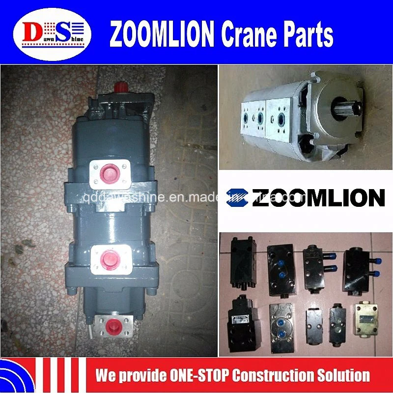 Chinese 50 Ton, 70 Ton, 75 Ton Spare Parts Zoomlion Crane