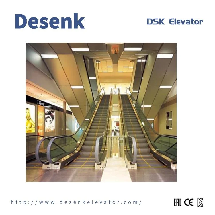 Desenk Indoor Commercial Economical Moving Passenger Escalator with Vvvf Auto Start Stop