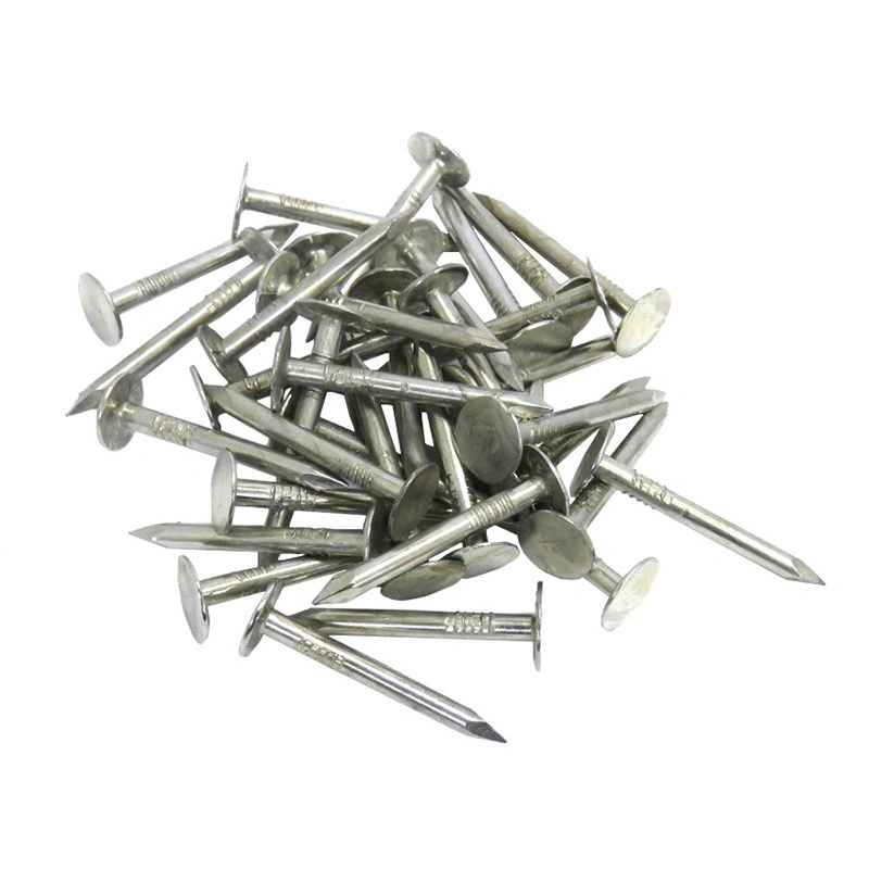 Galvanized Common Nails Wire Nail with CE Certificates for Furniture Common Nail Supplier