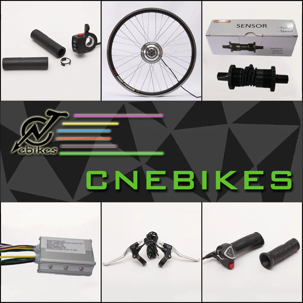 36V 250W Electric Bike Conversion Kit with Lithium Battery