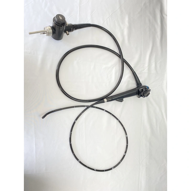 Vet Cheap USB Option Veterinary Gastro-Colonoscope System Price Flexible Video Gastroscope Colonoscope