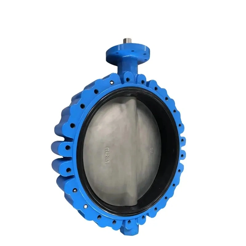 Hot Sale SS304 Manual Centerline Ductile Iron Pressure Reducing DN 500 Lug Type Butterfly Valve with Electric Actuator