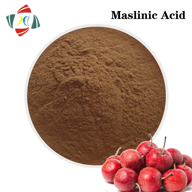 Pure Natural Top Quality Olive Leaf Extract Maslinic Acid