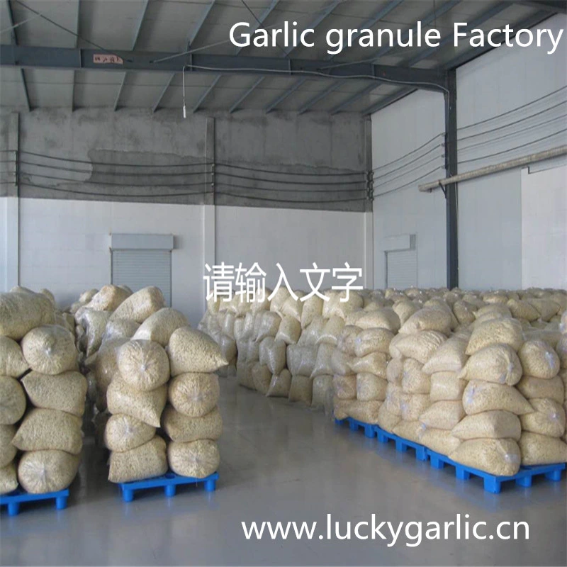 China Supplier Fried Garlic Granules