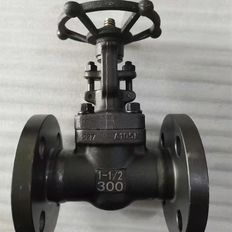 1/2" 150# Flanged 316 Stainless Steel Gate Valve