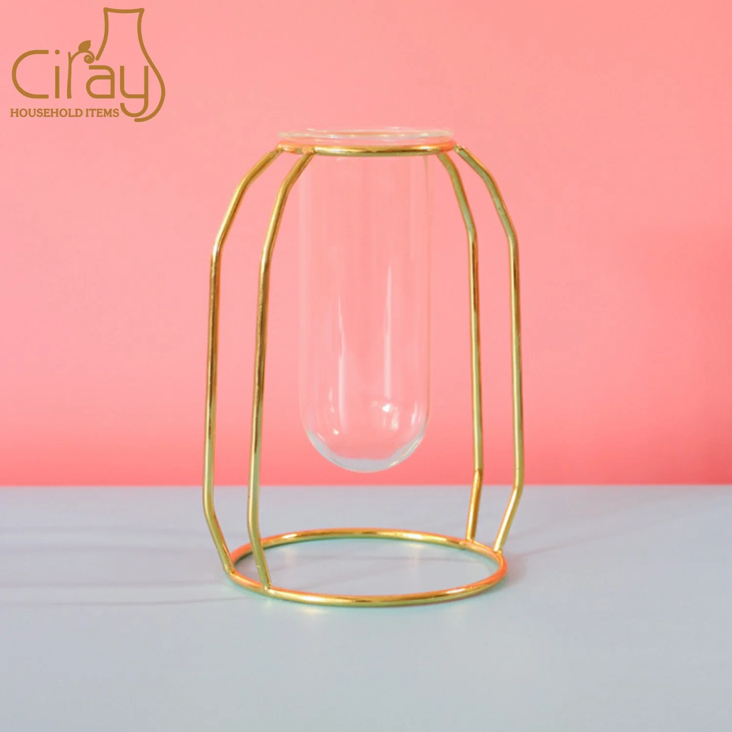 Creative Glass Tube Flower Vase with Golden Metal Stand